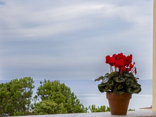 Appartamento per vacanze Alcamo Ambiente 28