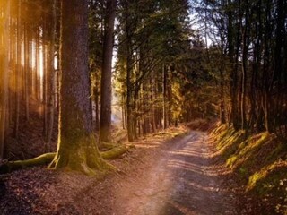 Chalet Putten Environment 38