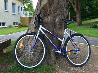 Casa de vacaciones Quinéville  38