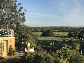 Vakantiehuis Quinéville  38