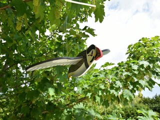 Casa per le vacanze Quinéville  38