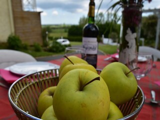 Vakantiehuisje Quinéville  38