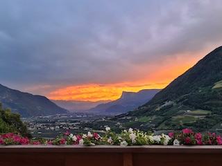 Aussicht vom Balkon
