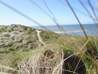 Appartamento per vacanze Julianadorp Ambiente 19