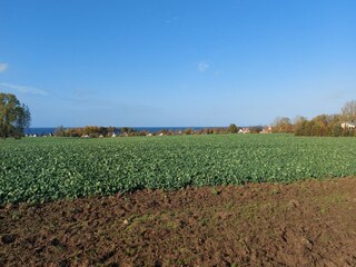 Appartement Timmendorf (Poel) Omgeving 39