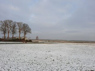 Appartement Timmendorf (Poel) Environnement 30