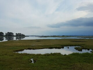 Appartement Timmendorf (Poel) Environnement 32