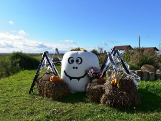 Appartement Timmendorf (Poel) Omgeving 33