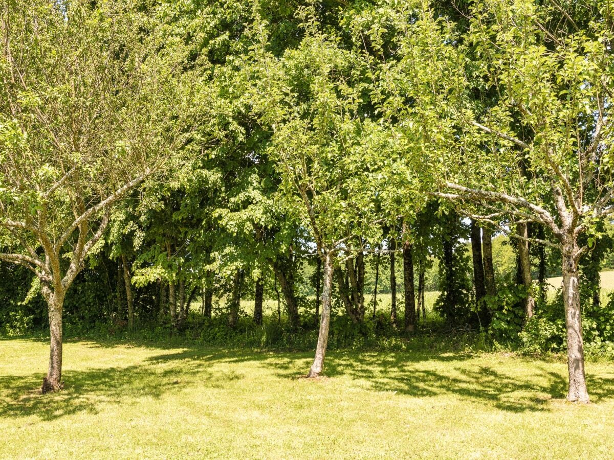 Cottage Auriac-du-Périgord Außenaufnahme 15