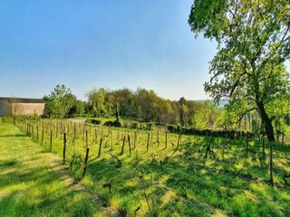 Casa vacanze Auriac-du-Périgord Ambiente 36