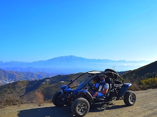 Rincon Buggy Tour