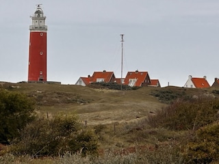 Der Leuchtturm von Texel Cap Nord