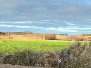 Texel  Golf