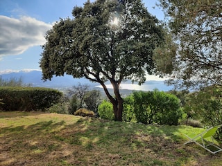 Garten mit Aussicht