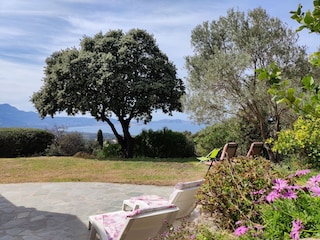 Vakantieappartement Lumio Buitenaudio-opname 6