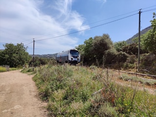 Appartement de vacances Lumio Environnement 35