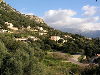 Vakantieappartement Lumio  31
