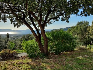 Vakantieappartement Lumio Buitenaudio-opname 10