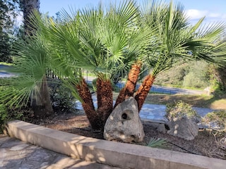 Appartamento per vacanze Lumio Registrazione all'aperto 10