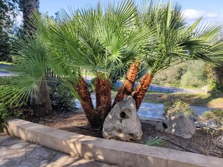 Appartement de vacances Lumio Enregistrement extérieur 10