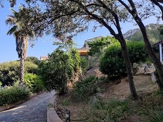 Im Garten