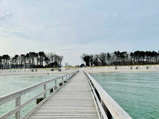 Holiday house Zingst Environment 71