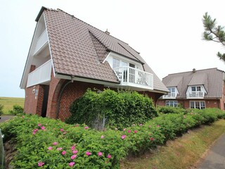 Hauptansicht