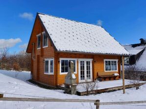 vakantiehuis in Wissinghausen met een privésauna - Medebach - image1