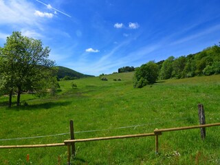 Ferienhaus Medebach Außenaufnahme 2