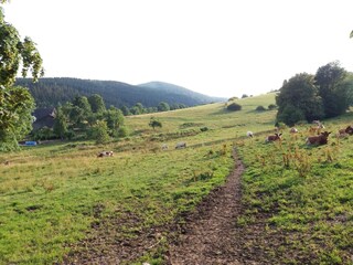 Vakantiehuis Medebach Buitenaudio-opname 2