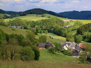 Vakantiehuis Medebach Buitenaudio-opname 16