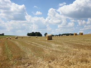 Apartment Vöhl Umgebung 23