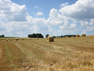 Appartement Vöhl Omgeving 18
