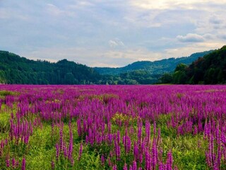 Appartement Vöhl Omgeving 37
