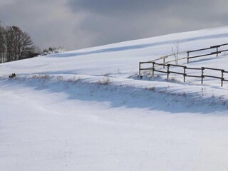 Appartamento Vöhl Ambiente 30