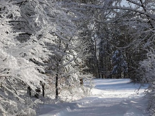 Apartment Vöhl Umgebung 35