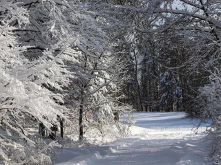 Appartement Vöhl Omgeving 35