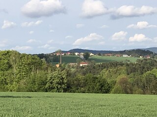 Appartamento per vacanze Rathmannsdorf Ambiente 35