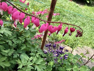 Appartamento per vacanze Rathmannsdorf Registrazione all'aperto 9