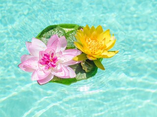 Villa Sa Pobla Registrazione all'aperto 17