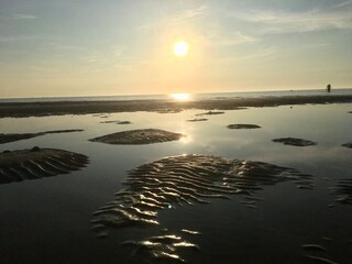Das Wattenmeer