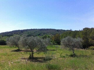 Villa Bedarieux Entorno 47