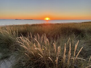 Casa per le vacanze Saint-Pierre-Quiberon Ambiente 42