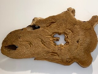 Casa per le vacanze Saint-Pierre-Quiberon Caratteristiche 14