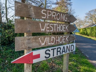 Casa per le vacanze Renesse Ambiente 21