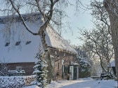 The property in the winter