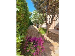 Casa de vacaciones Cala Santanyí Grabación al aire libre 14