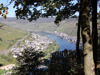 Apartamento de vacaciones Zell Mosel Entorno 22