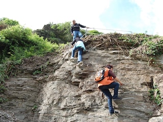 Appartement de vacances Zell Mosel Environnement 17