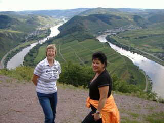 Vakantieappartement Zell Mosel Omgeving 18